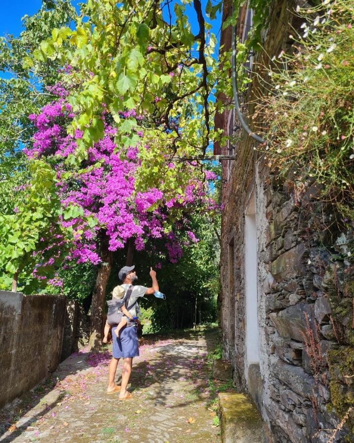 Hostel Out Of Town Castelo de Paiva Exteriér fotografie